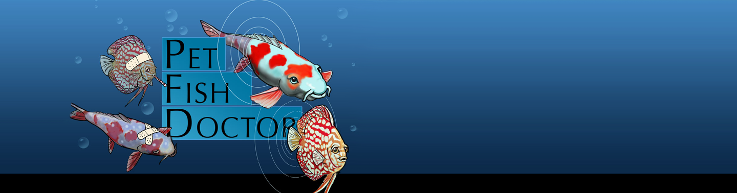 Pet Fish Doctor Logo